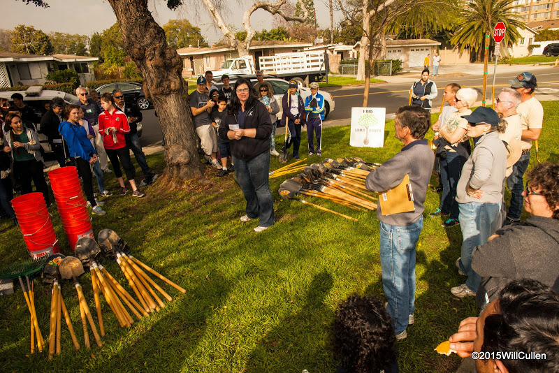 2015-02-07 Dr John Tree Planting (3)